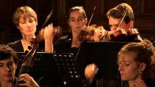 RAMEAU  Concerto quotLes amoursquot Tambourins TOULOUSE LES ORGUES 2015 [upl. by Hildie565]