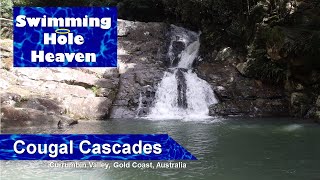 Swimming in several pools at Cougal Cascades in the Gold Coast Hinterland [upl. by Annoid955]