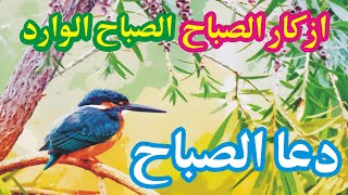 Adkar AlSabah Morning Adkar دعاء الصباح ⚘ صباح الخير 🌷صباح الورد🍃أذكار الصباح [upl. by Jordanson]