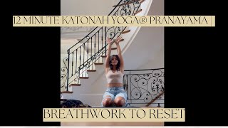 12 Minute Katonah Yoga® Pranayama  Breathwork to Reset [upl. by Laehplar]