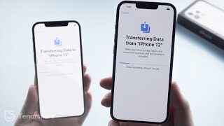 How to Fix iPhone 13 Data Transfer Stuck on Time Remaining About 1 Minute [upl. by Namreg287]