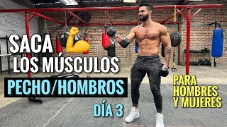 Rutina de PECHO Y HOMBROS 20 Min Ejercicios para SACAR LOS MUSCULOS [upl. by Paget]