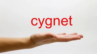 How to Pronounce cygnet  American English [upl. by O'Dell]