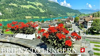 Driving in Switzerland  🚘  Brienz to Lungern 🇨🇭 [upl. by Julienne]