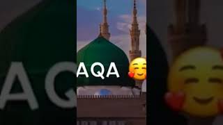 Please please please subscribe to my channel passport arabic loveallahﷻ [upl. by Mollee272]