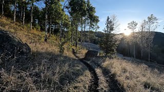 Gorge link trail number 49 kananaskis sept 21st 2024 [upl. by Orimlede]