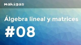 Álgebra lineal y matrices – 8 Determinantes [upl. by Charin871]