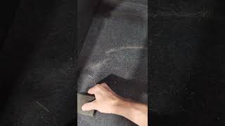 How to remove dog hair out of car [upl. by Claudelle840]