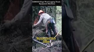 Expert Level Tree Feller youtube youtubeshorts shorts trending logging arborist master [upl. by Dnalram164]