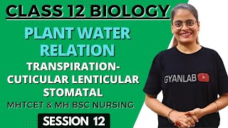 Class 12  Plant Water Relation Transpiration Cuticular Lenticular Stomatal Gyanlab Anjali Patel [upl. by Rapp]