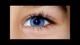 How To ♡Get Longer Eyelashes Fast [upl. by Grussing207]