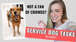 ANXIETY Service Dog Tasks  CROWD CONTROL [upl. by Hephzibah185]