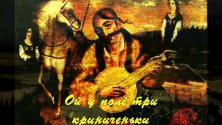 Ой у полі три криниченьки  Ukrainian folk song  by quotDudarykquot choir [upl. by Julie]