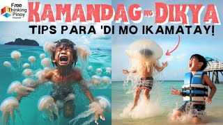 BOX JELLYFISH Ang pinaka makamandag na hayop sa dagat ng Pinas [upl. by Ahtiekahs]