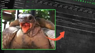 TURTLES MAKING LOVE TURNED INTO A BEAT [upl. by Deuno]