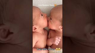 The precious moments of newborn twins babies 🥰❤️ [upl. by Krystin]