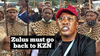 Malemas quotZulus must go back to KZNquot remarks cause havoc across social media quot [upl. by Onifled]