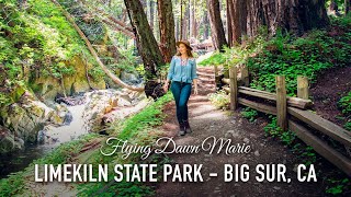 VLOG 46 Lovely Limekiln State Park  Big Sur CA [upl. by Aramat]