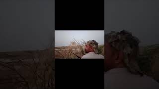 Duck hunting in Pakistan viralvideo reels deerhunting hunting youtubeshorts birds deer video [upl. by Gilleod425]