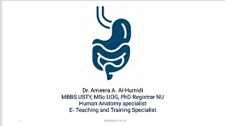 anatomical based defect of duodenal ulcer and paralytic ileus [upl. by Roane]