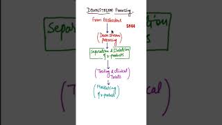 What is Downstream Processing Biotechnology downstream processing biology shorts [upl. by Fisken532]