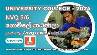 University College New Intake 2024 [upl. by Forester]