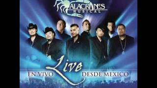 Alacranes Musical quotPor Amarte Asiquot En Vivo Desde Mexico [upl. by Rudie]