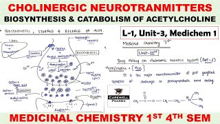 Cholinergic Neurotransmitter  Biosynthesis and Catabolism of Acetylcholine  L1 U3  Medichem 1 [upl. by Wiese]