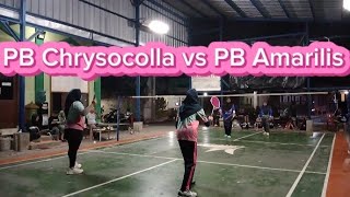 Friendly match  PB Chrysocolla vs PB Amarilis [upl. by Manbahs]