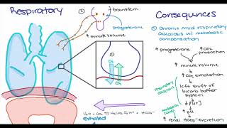 Maternal Changes in Pregnancy [upl. by Pippo]