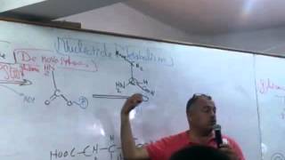 13 Pyrimidine Synthesis [upl. by Saleme]