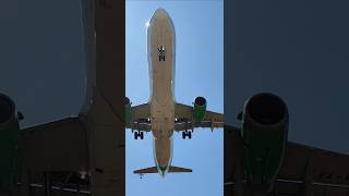 VIVAAEROBUS aviaciónmexicana aviation viralvideo planespotting airport shorts shortvideo yt [upl. by Sewoll]