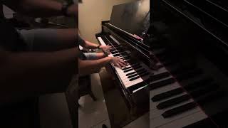 THAT part of Liszt’s Mephisto Waltz No 1 [upl. by Colinson341]