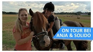 Besuch zum Reiten bei Anja amp Solido [upl. by Enirehtac152]