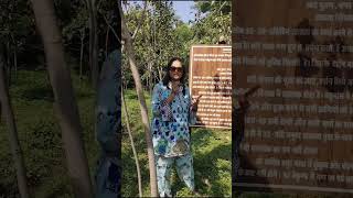 Peepal tree benefits  peepal tree forest in shatam jeeva eatfit247 [upl. by Mcintyre]