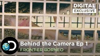 Behind the Camera Crocodile Relocation  Frontier Borneo S01E01 [upl. by Dnalevelc673]