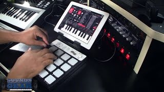 IK Multimedia iRig Pads Review  SoundsAndGearcom [upl. by Eikkin385]