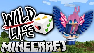 Surprise 🎲  Ep 1  Wild Life [upl. by Held]