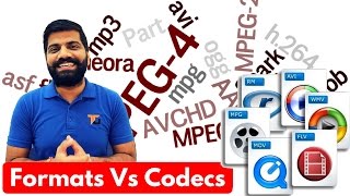 Video Codec amp Formats  MP4 AVI MKV WMV MOV AVCHD Explained [upl. by Primo573]