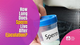 How Long Does Sperm Live in After Ejaculation [upl. by Oren]