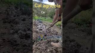 Cómo actúa la cal agrícola en el suelo pH del suelo y cal agrícola [upl. by Assenab]