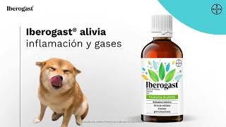 ¿Inflamación y gases constantes ¡Iberogast® es para ti [upl. by Angelique]