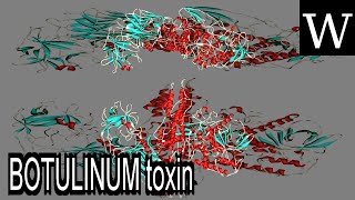 BOTULINUM toxin  WikiVidi Documentary [upl. by Hplodur]