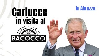 Carluccio visita il liquorificio Bacocco [upl. by Baily958]