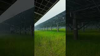 আজ অনেক বৃষ্টি হচ্ছে ।solarsystem solarpower bangladesh china feni short [upl. by Anaujd771]