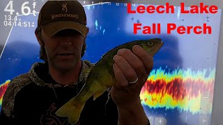 Leech Lake Fall Perch Fishing [upl. by Moht]