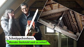 Maroden Dachstuhl retten  Dachsanierung  Dachboden ausbauen 🏡 Bauvlog 7 [upl. by Benedict626]