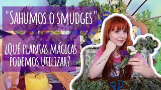 Crea Tus Propios Sahumerios Mágicos Rituales y Hierbas Poderosas para Purificar Tu Hogar ✨🔥 [upl. by Gausman123]