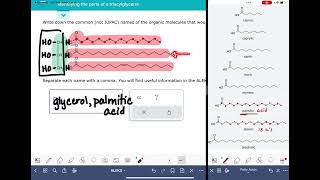 ALEKS Identifying parts of a triacylglycerol [upl. by Buckler]