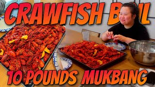 10 Pounds Seafood Boil Crawfish Mukbang 먹방 Eating Show with Michelle MUST WATCH [upl. by Enelyk]